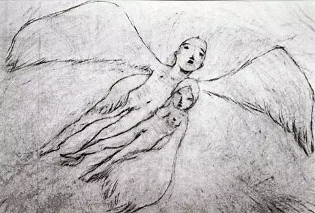 A Feather Stare at the Dark
