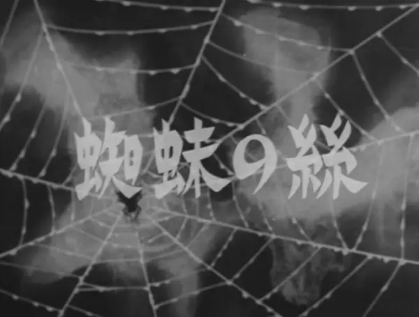 Spider Silk